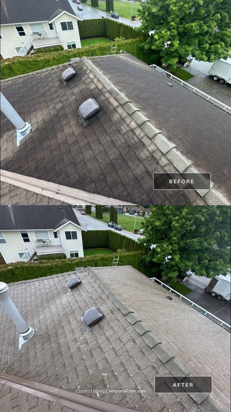 Asphalt shingle roof before and after cleaning