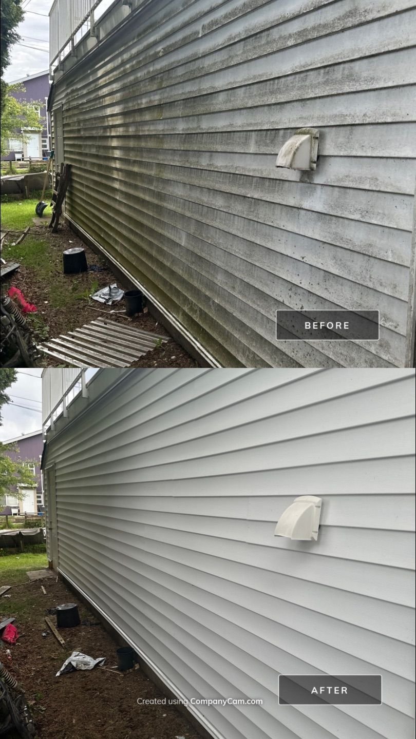 Vinyl siding before and after house washing